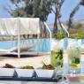 <p>Sol House Taghazout - Pool Experience</p>
