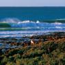 <p>Jeffreys bay</p>