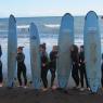 <p>Surf in Madeira </p>