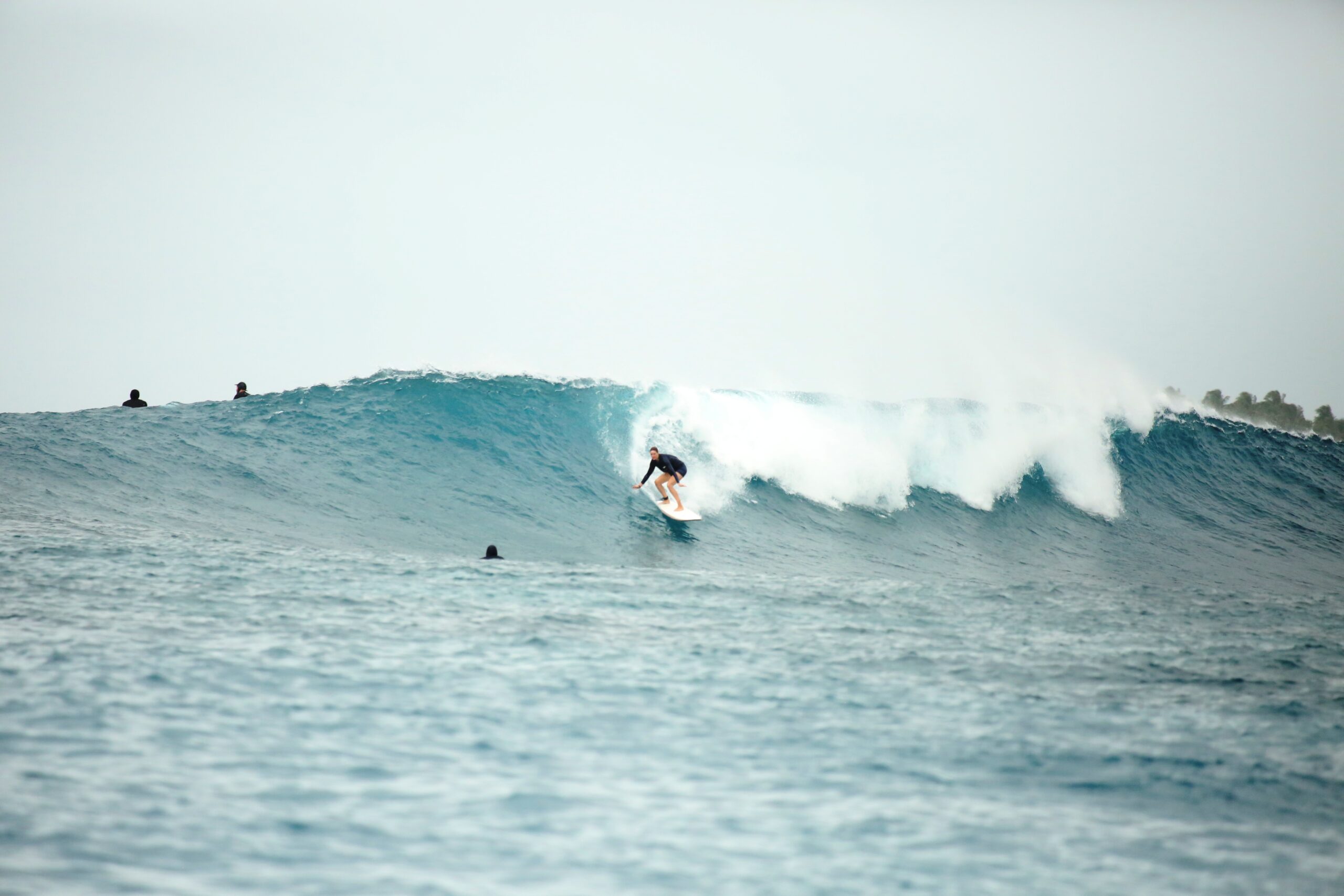 EQ Surf Retreat : the surf
