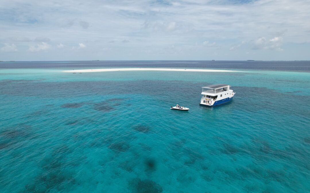 maldives/noah-surfari