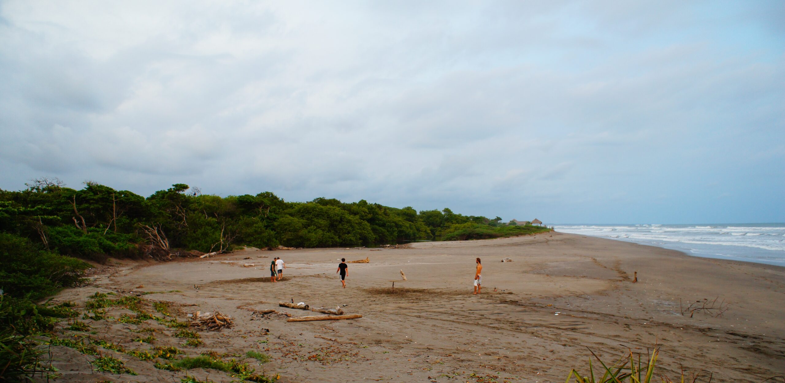 Los Cardones : the Beach
