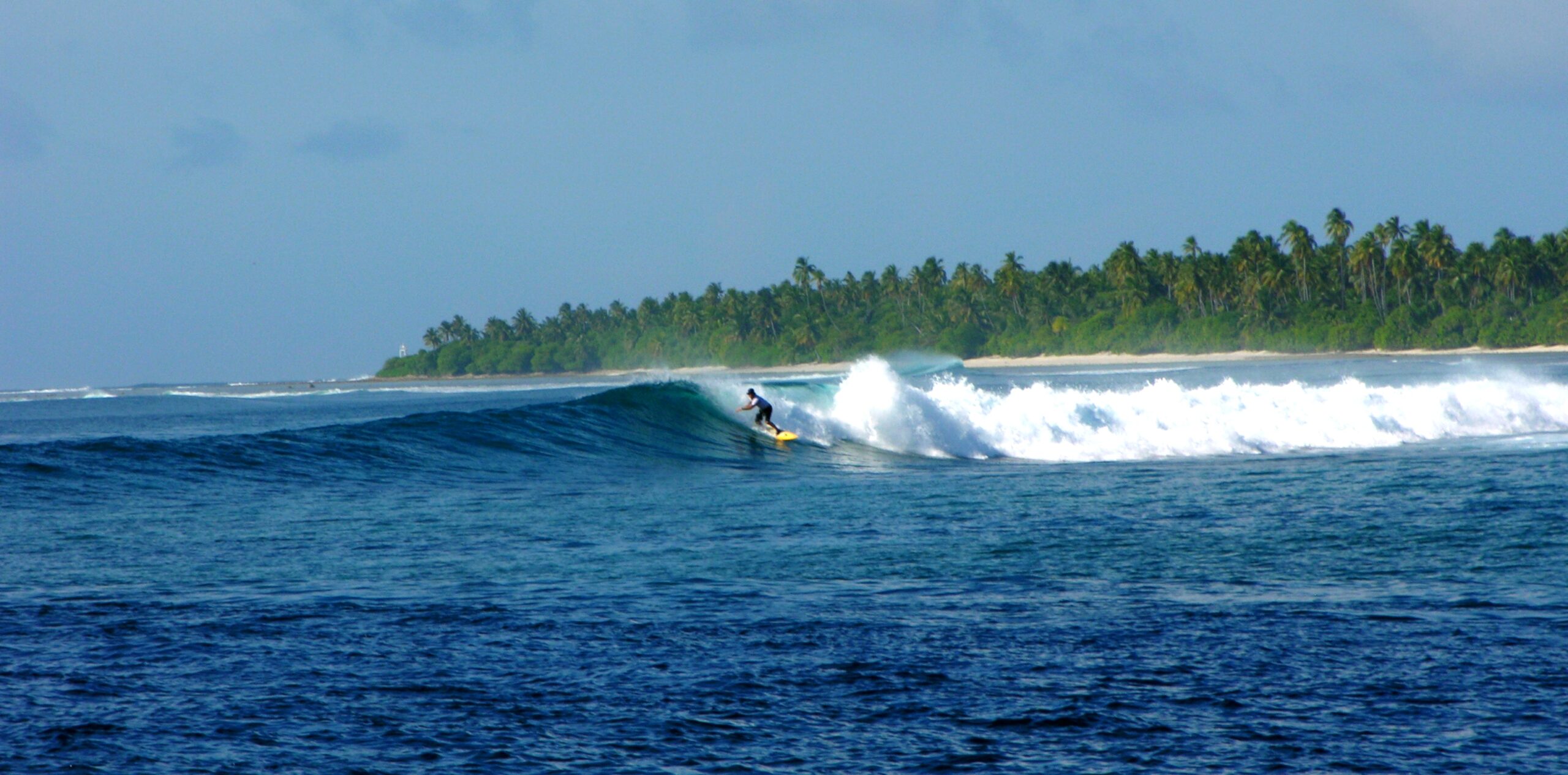 Konalle Surf House Maldives - Tiger Stripes