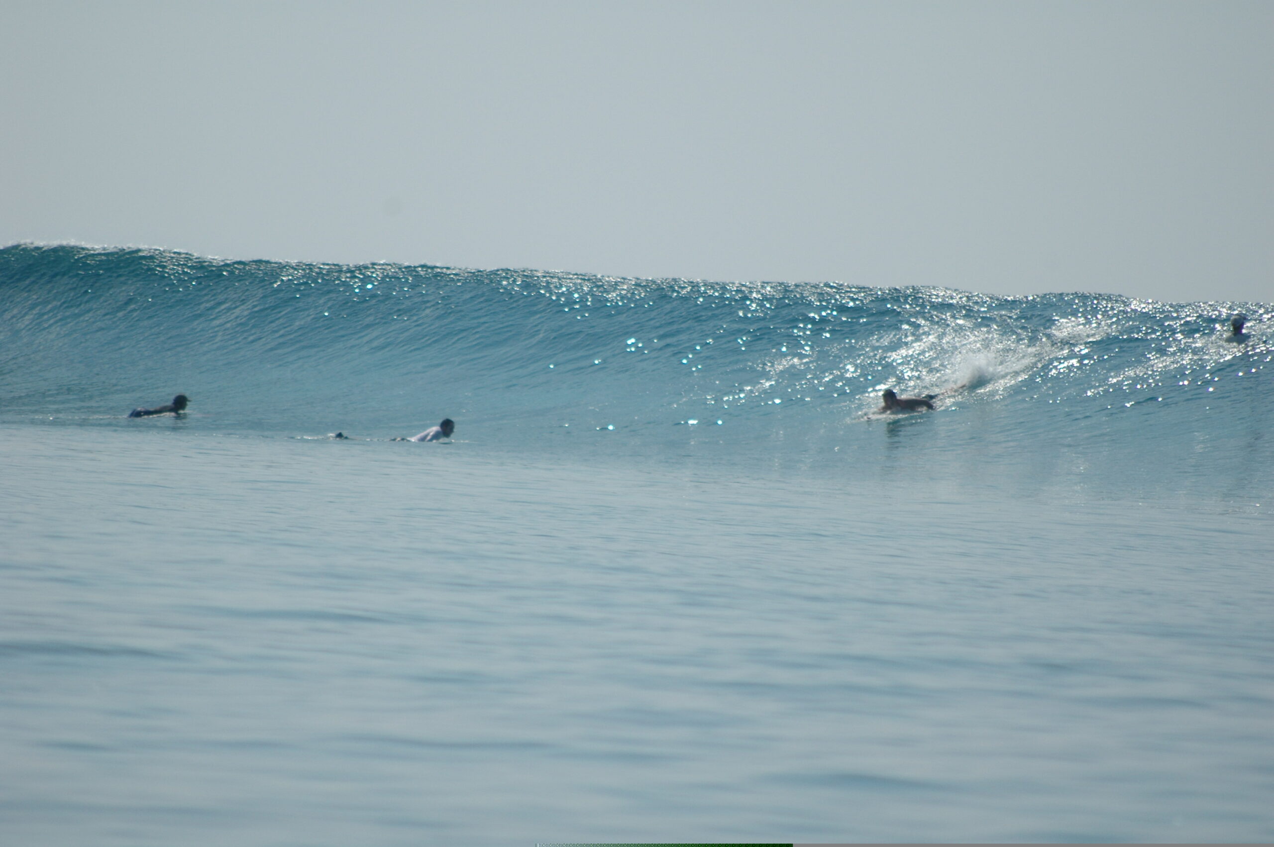 Noah Surfari Maldives – Chicken glassy