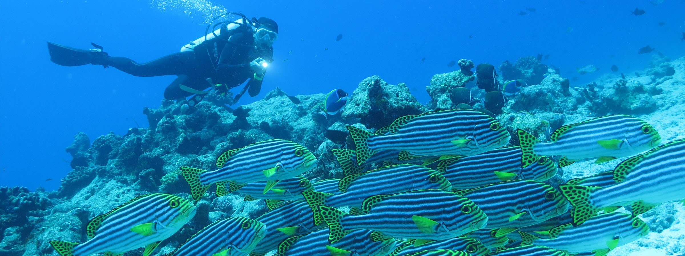 Diving at Hudhuranfushi