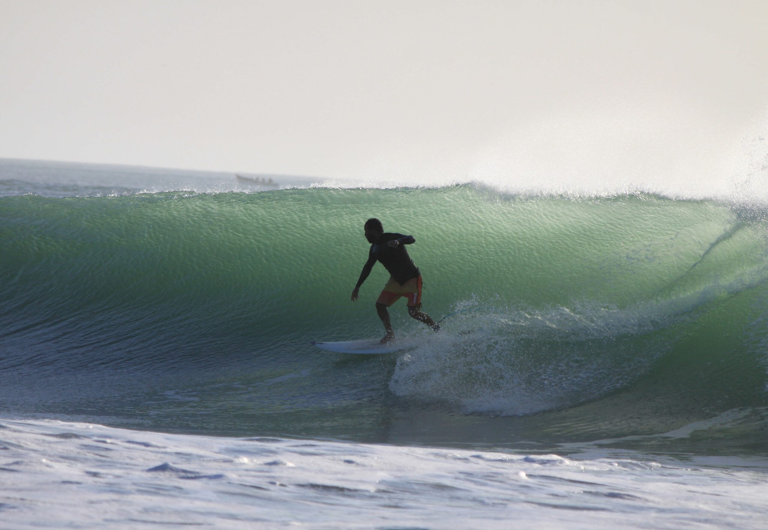 Ocean Vagabond Lassarga
