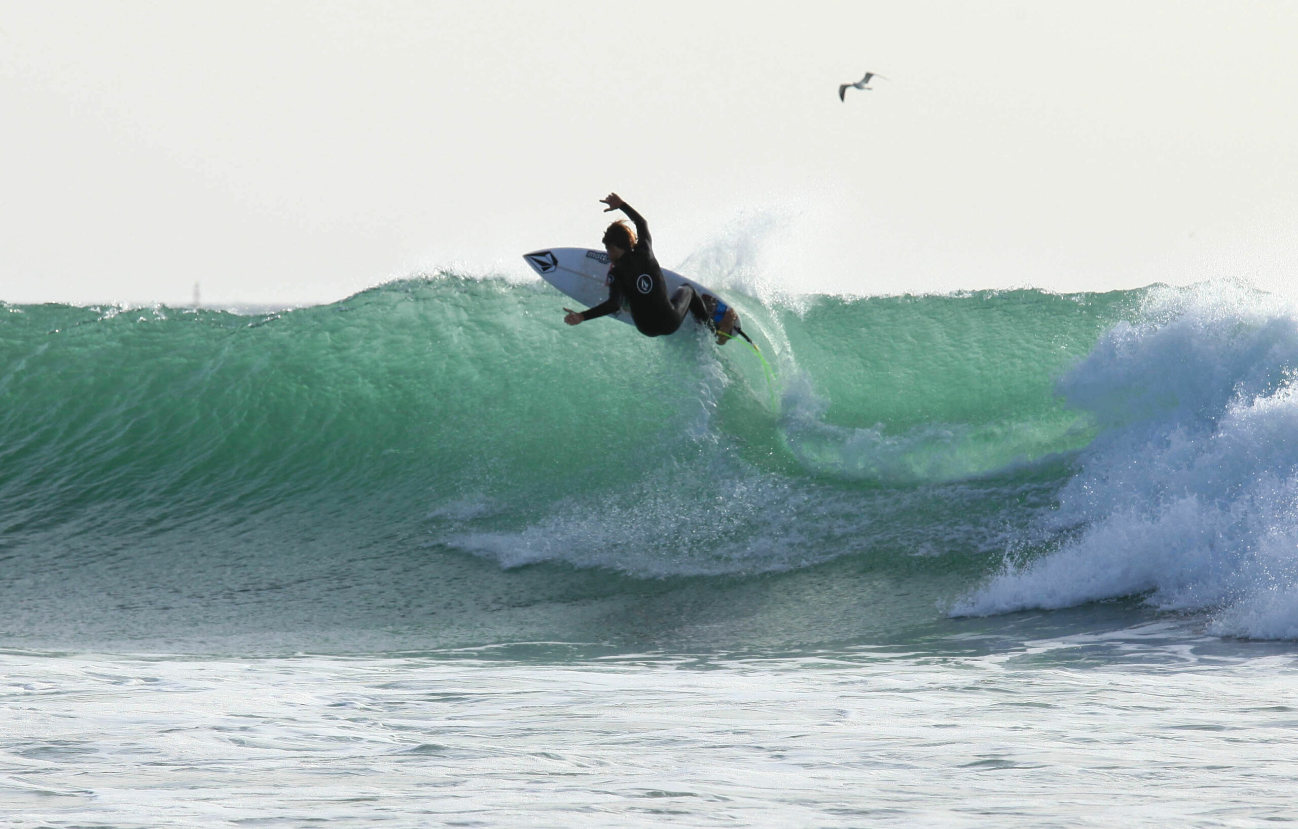 Ocean Vagabond Lassarga
