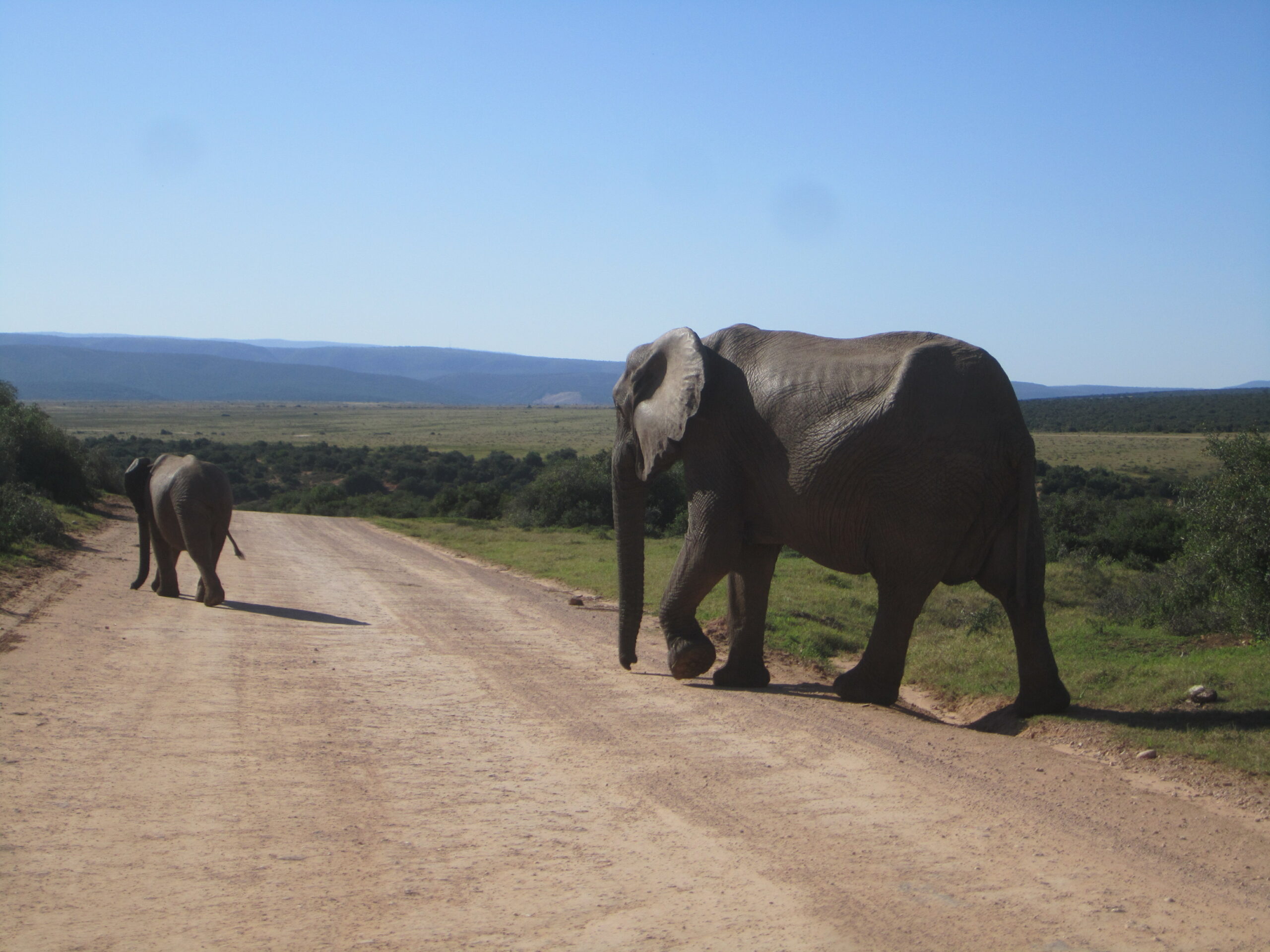 Jeffreys Bay Surf Trips