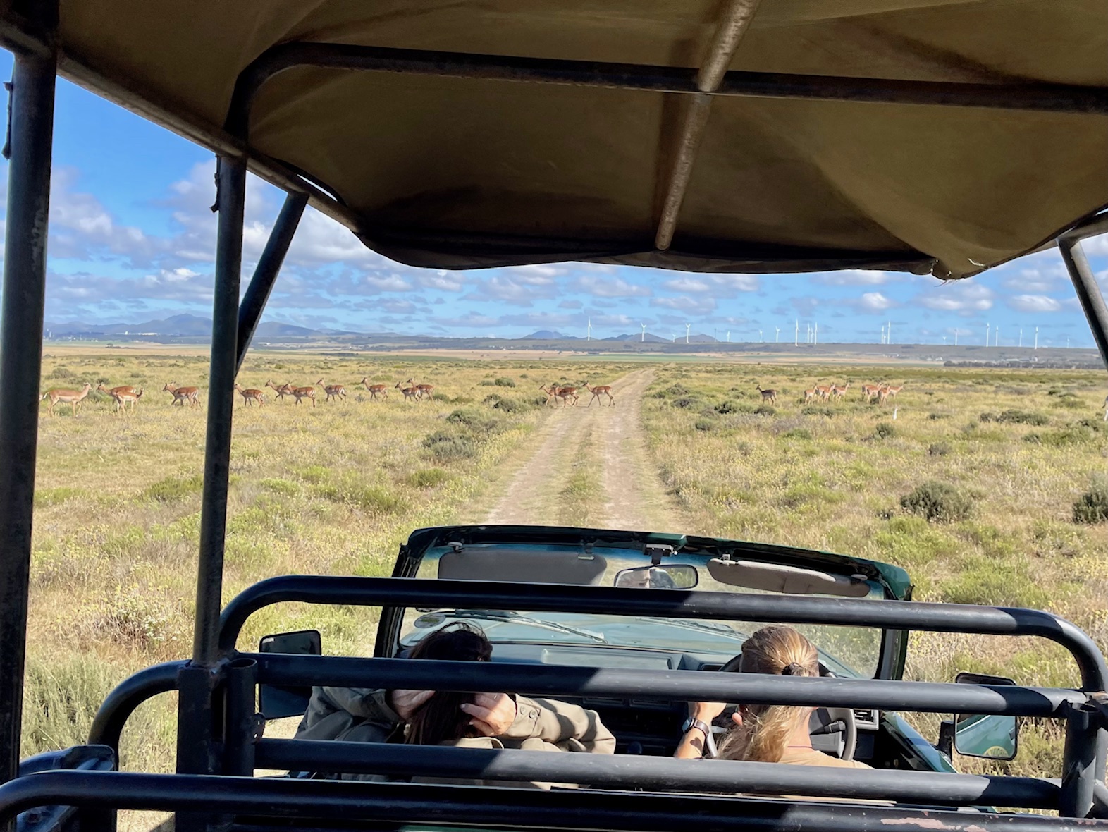 Jeffreys Bay Surf Trips