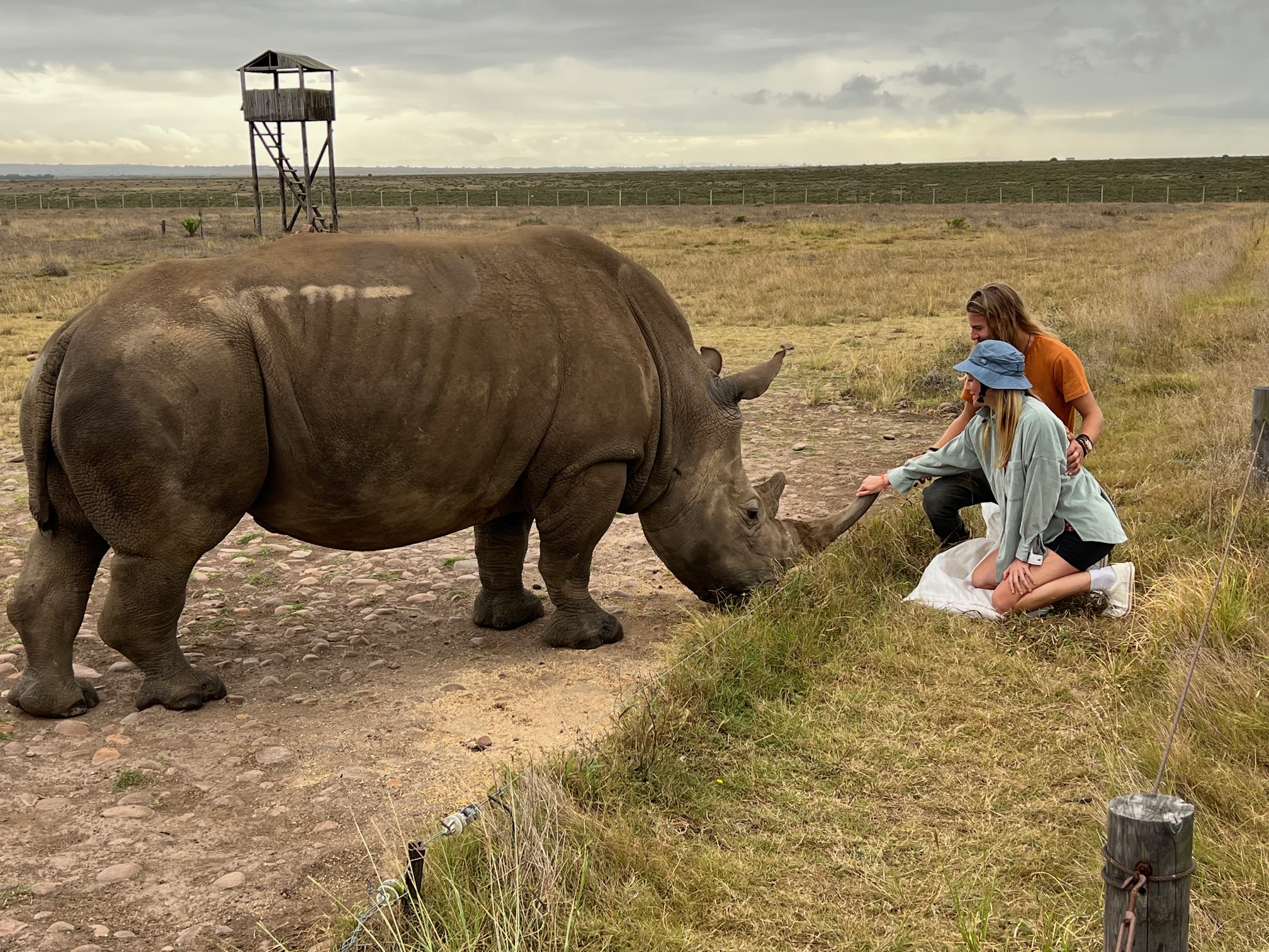 Jeffreys Bay Surf Trips