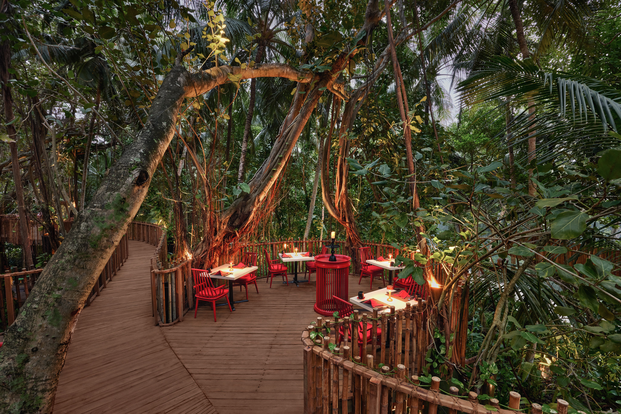 Niyama Private Islands - Nest Tree top Dining