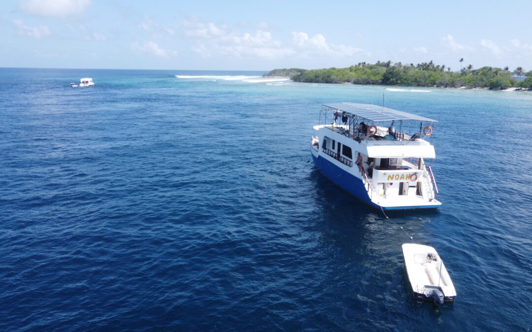 maldives/noah-surfari