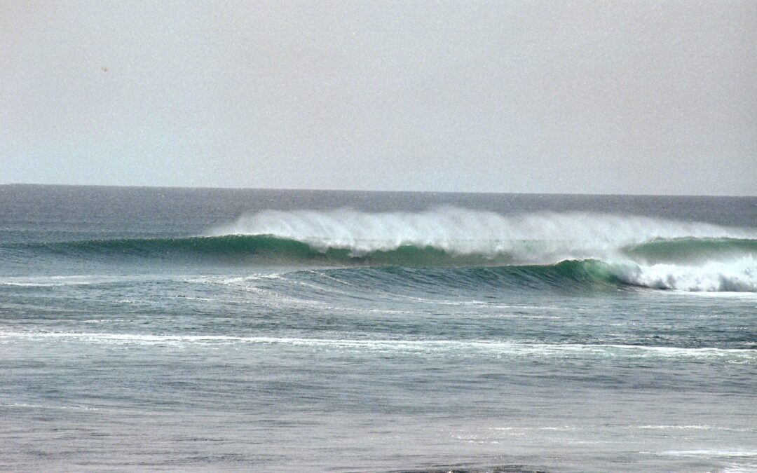 senegal/ngor-surf-camp