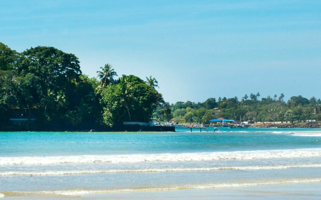 Surf Trip au Sri Lanka