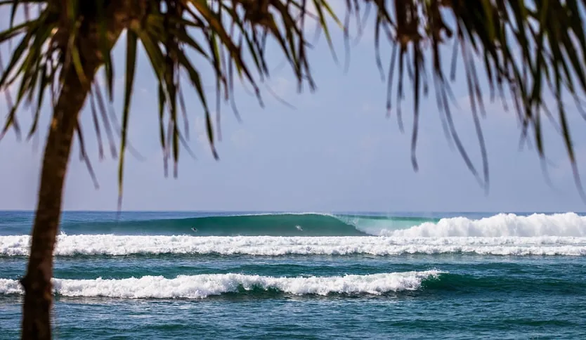 Kima Canggu