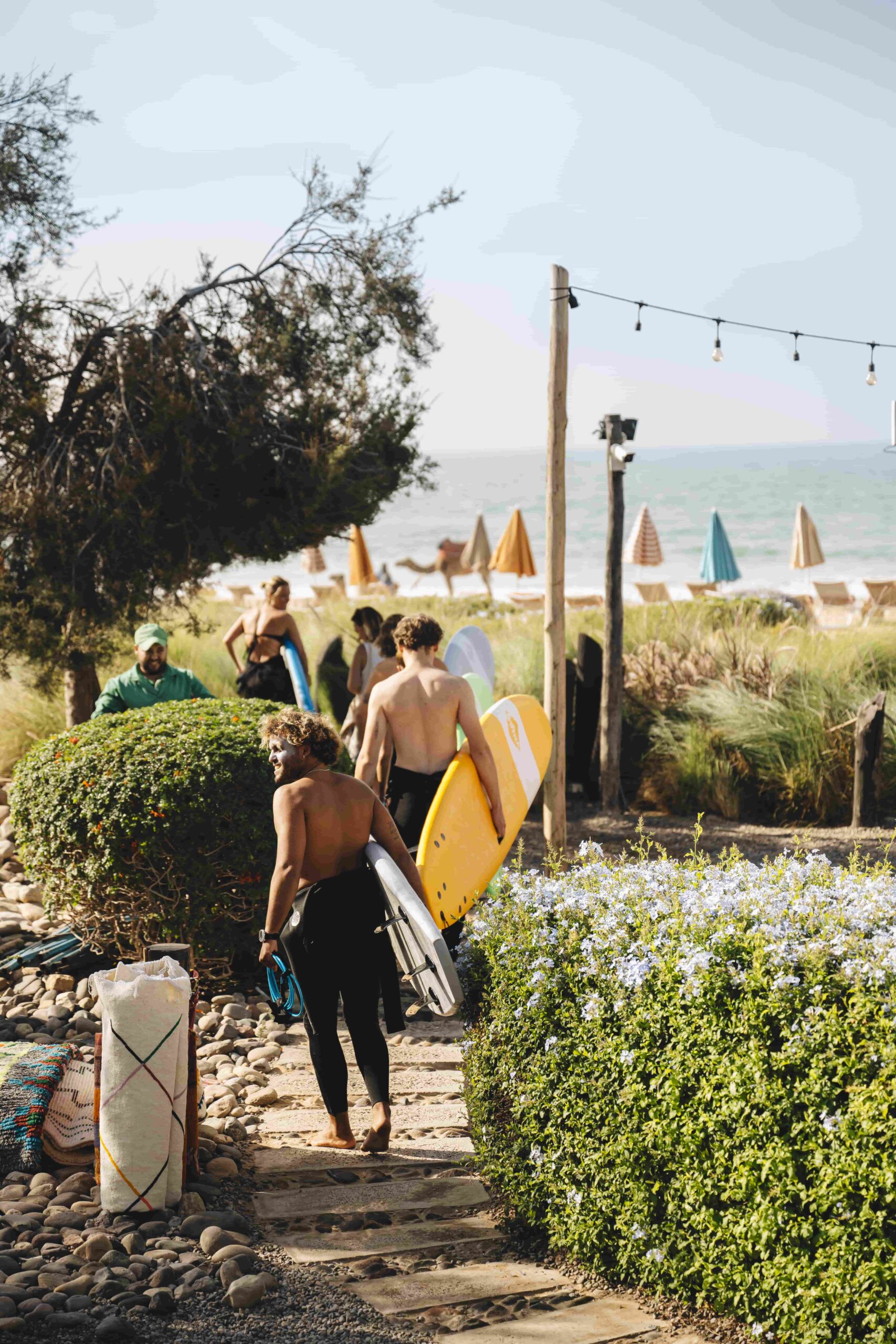 Paradis Plage - La surf house