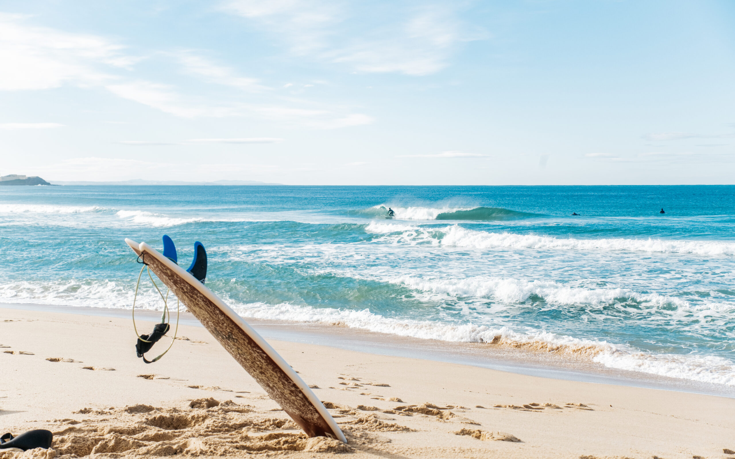 Truster Surf