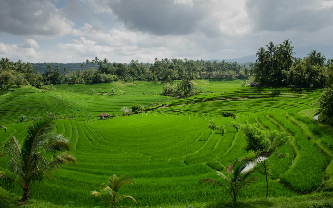 indonesie/bali