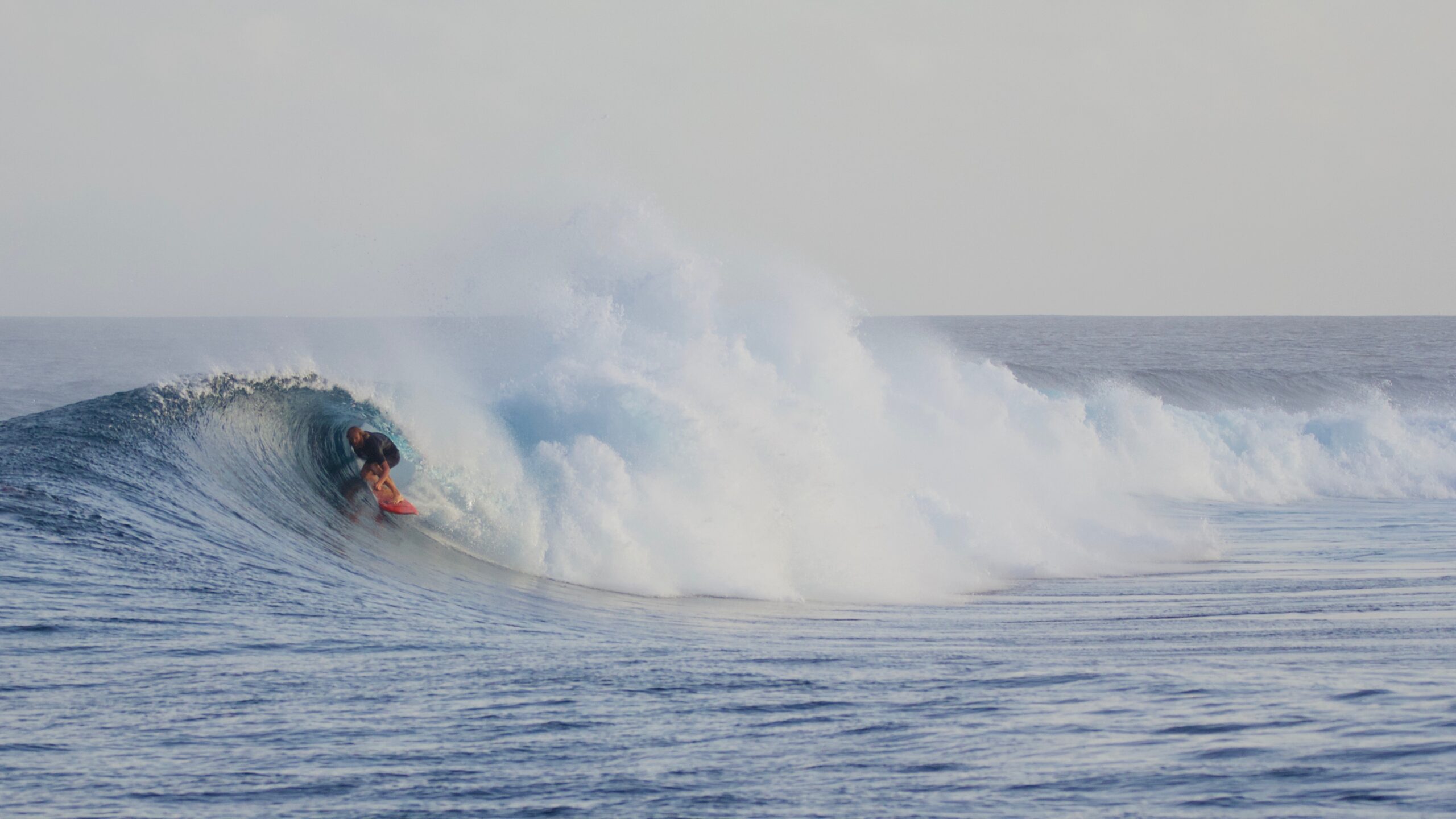 Surf aux Maldives – Surfeur sur une vague de reef