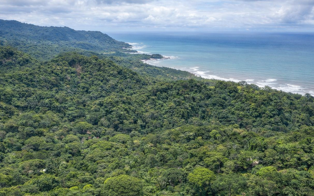 surf-trip-santa-teresa-costa-rica