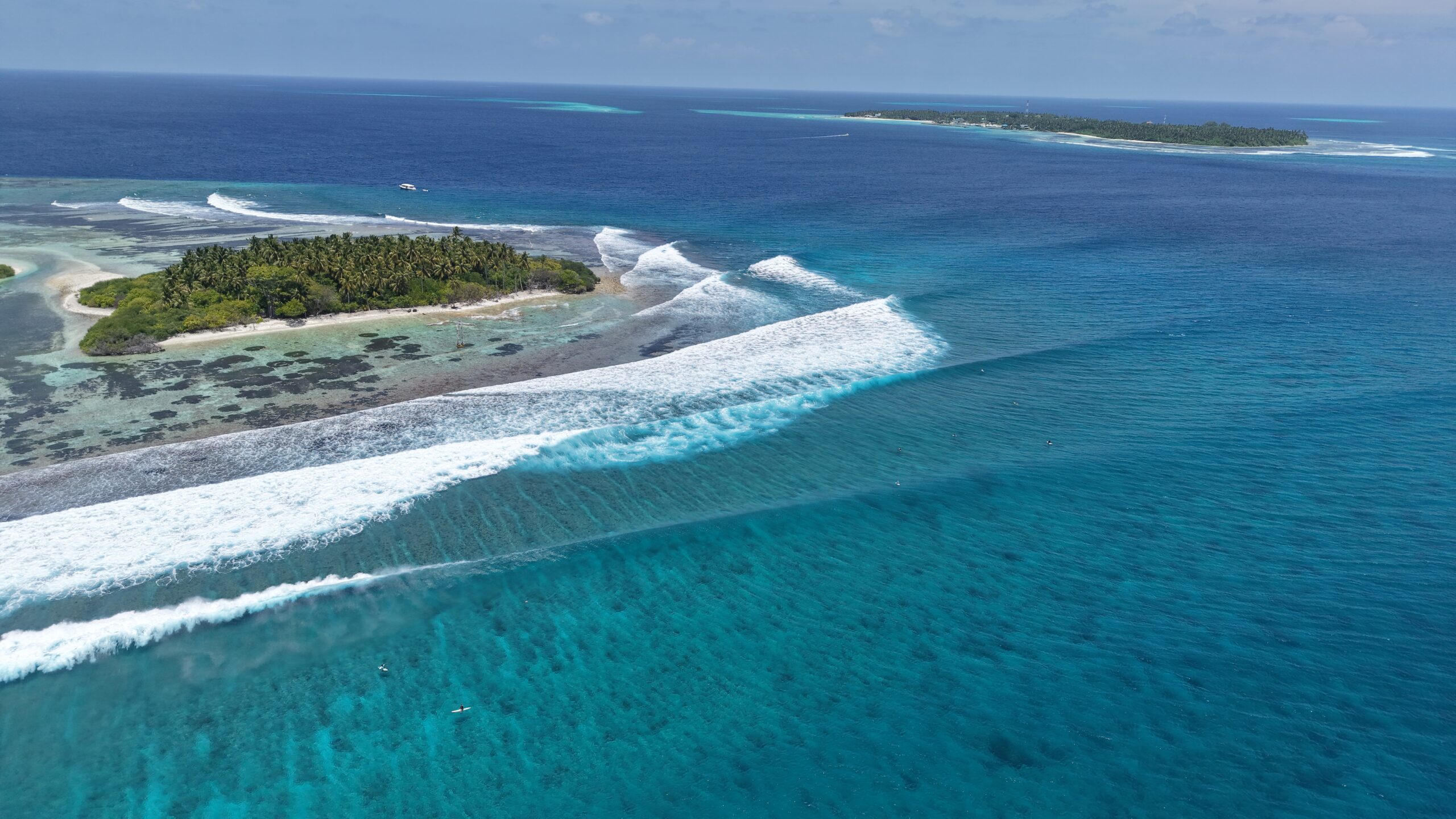EQ Surf Retreat and Medhufushi : Mushroom