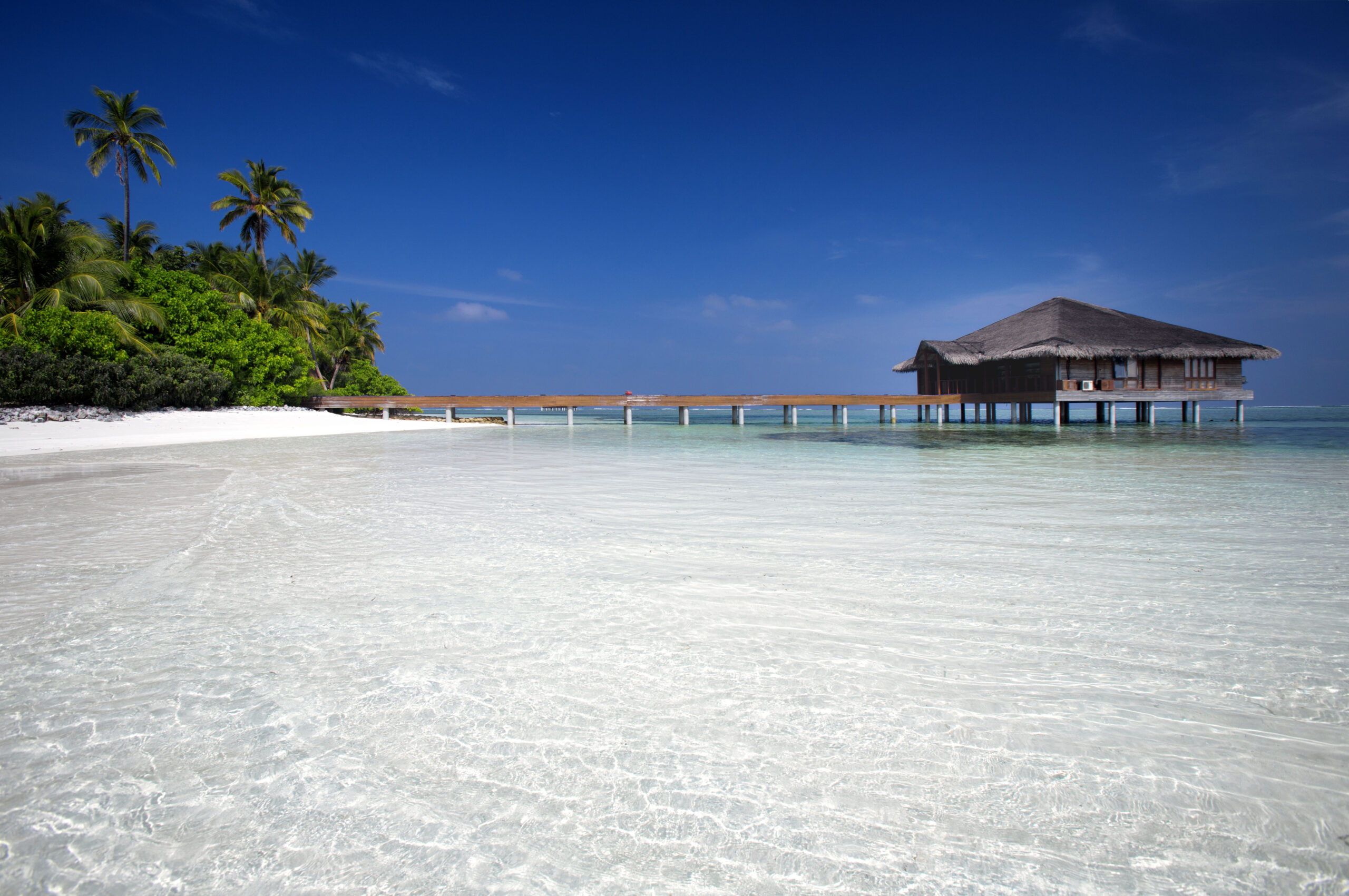 Séjour surf Maldives à Medhufushi