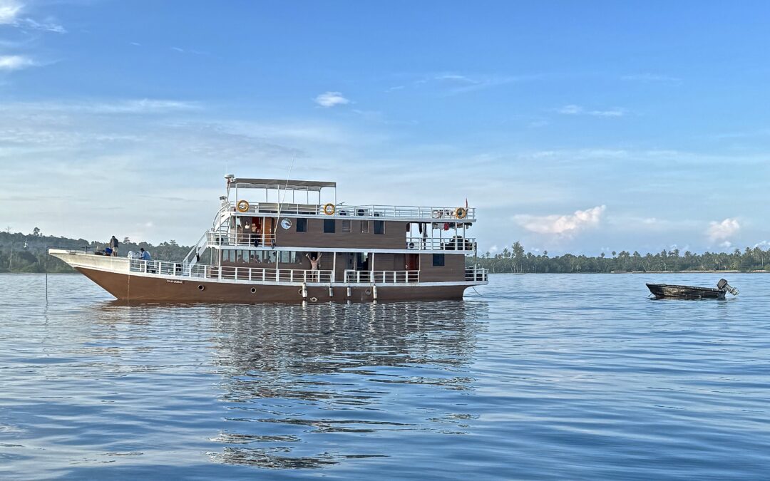 Raja Ombak Mentawai