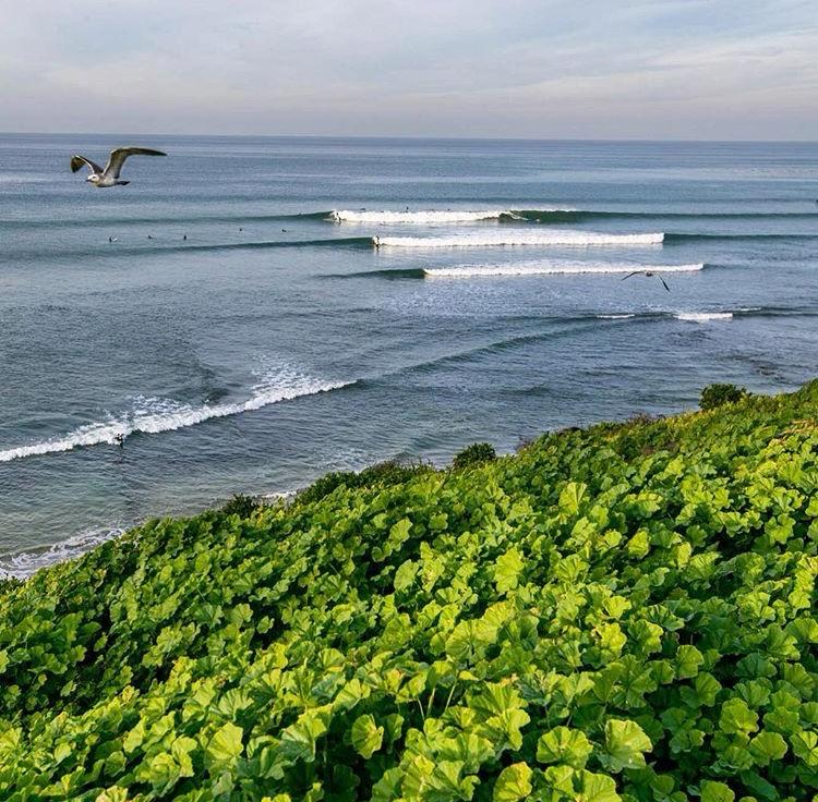 Surfeurs sur les vagues du littoral américain – nouvelle formalité sanitaire pour voyager aux États-Unis.